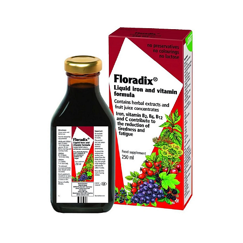 Salus Haus Floradix Liquid Iron Formula Κατάλληλο για Παιδιά με Βιταμίνη C 250ml