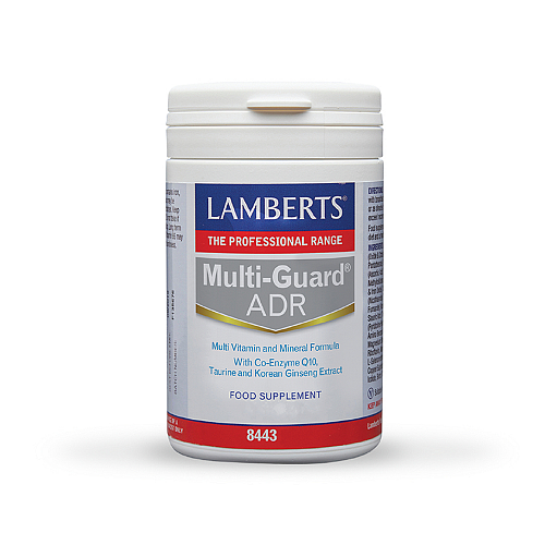 Lamberts Multi-Guard ADR Πολυβιταμίνη για Ενέργεια 60 ταμπλέτες